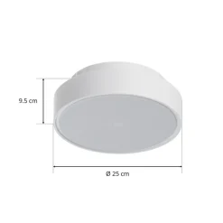 Hatton LED-loftlampe, IP65, 25 cm