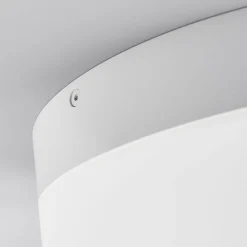 Helestra Liv LED-loftlampe Ø 20 cm