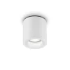 Helestra Lot udendørs loftlampe, IP65, hvid