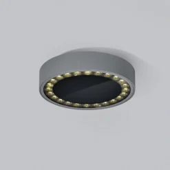 Helestra Say LED udendørs loftlampe grafit Ø23cm