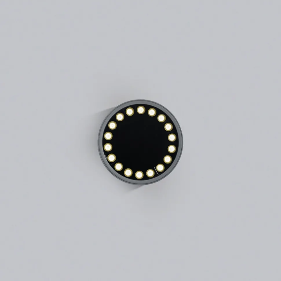 Helestra Say LED udendørs loftlampe grafit Ø18,5cm