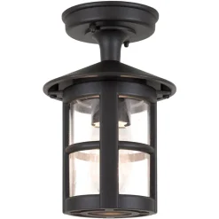 Hereford udendørs loftslampe