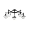 Hollis loftlampe, 5 lyskilder, sort/klar