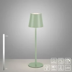 JUST LIGHT. Euria LED-bordlampe, hvid, jern, IP54