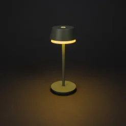 LED-bordlampe Lyon, grøn/grå, IP54, dæmper, CCT, RGB