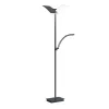 LED-gulvlampe Andy, 3 lyskilder, antracit, CCT, dæmper