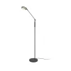 LED-gulvlampe Franklin, sensordæmper, antracit