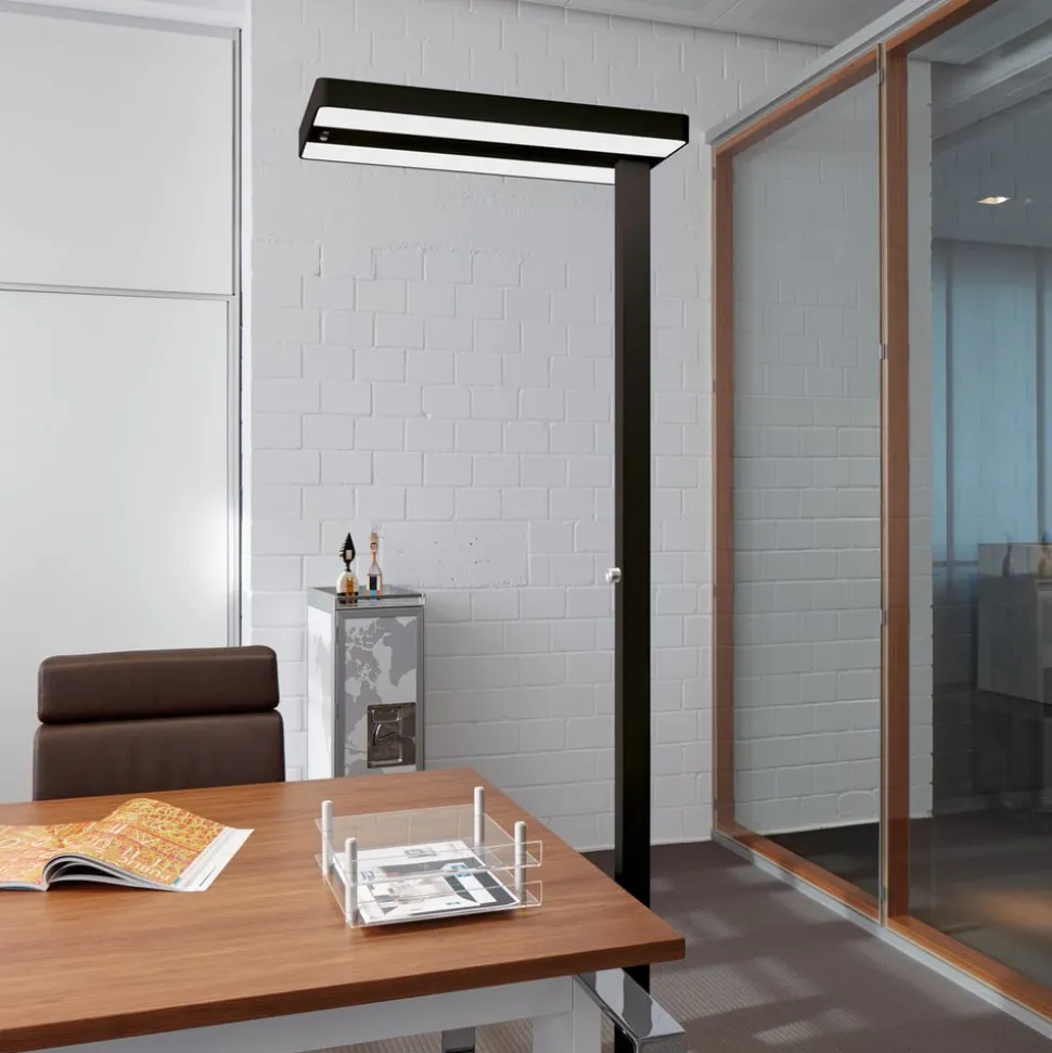 LED-gulvlampe MAULjuvis, sort, 196 cm base dæmpbar