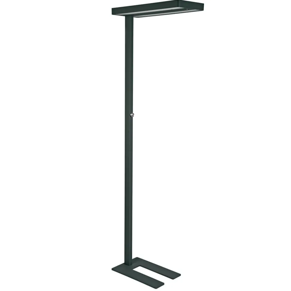 LED-gulvlampe MAULjuvis, sort, 196 cm base dæmpbar