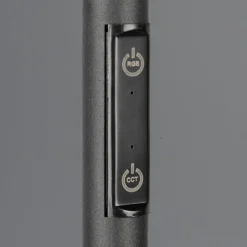 LED-gulvlampe Samba, højde 175 cm, sort, CCT, RGB