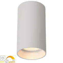 LED-loftlampe Delto dæmpbar til varm, rund, hvid
