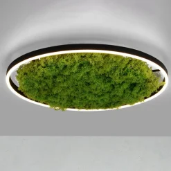 LED-loftlampe Green Ritus, mos dæmpbar Ø58,5cm