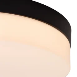 LED-loftlampe til badeværelset Biskit, sort, Ø 23 cm, plast