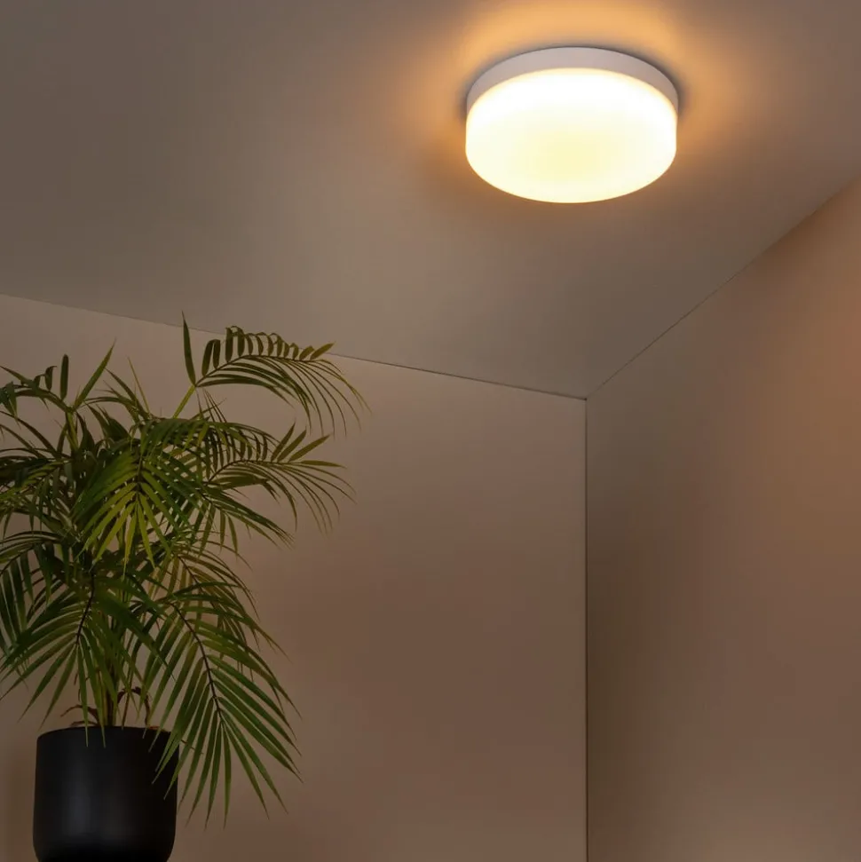 LED-loftlampe til badeværelset Biskit, hvid, Ø 23 cm, plast