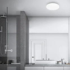 LED-loftslampe Case til badeværelset IP44 3.000K Ø 28cm