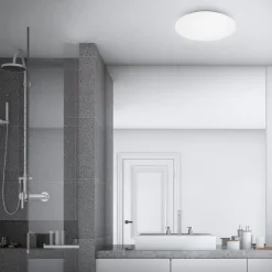 LED-loftslampe Case til badeværelset IP44 3.000K Ø 40cm