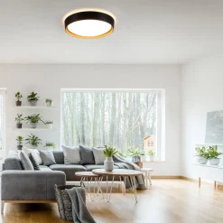 LED-loftslampe Emilia 3-trins dæmpbar sort