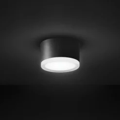 LED-loftslampe 1420 til udendørs brug, grafit Ø 13 cm