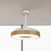 LED-loftventilator Coin træ DC-motor lydsvag Ø 106 cm CCT