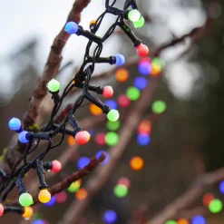 LED-lyskæde Berry Mini med timerfunktion farverige