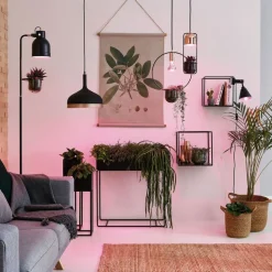 LED-plantepære E27 R80 6,5W