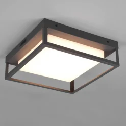 LED udendørs loftslampe Witham IP54, CCT, antracit