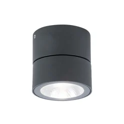 LED-udendørs loftspot Andria, mørkegrå, Ø 9 cm, metal