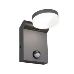 LED udendørs væglampe Adour, antracit, sensor, kipbar, CCT