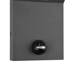 LED udendørs væglampe Adour, antracit, sensor, kipbar, CCT