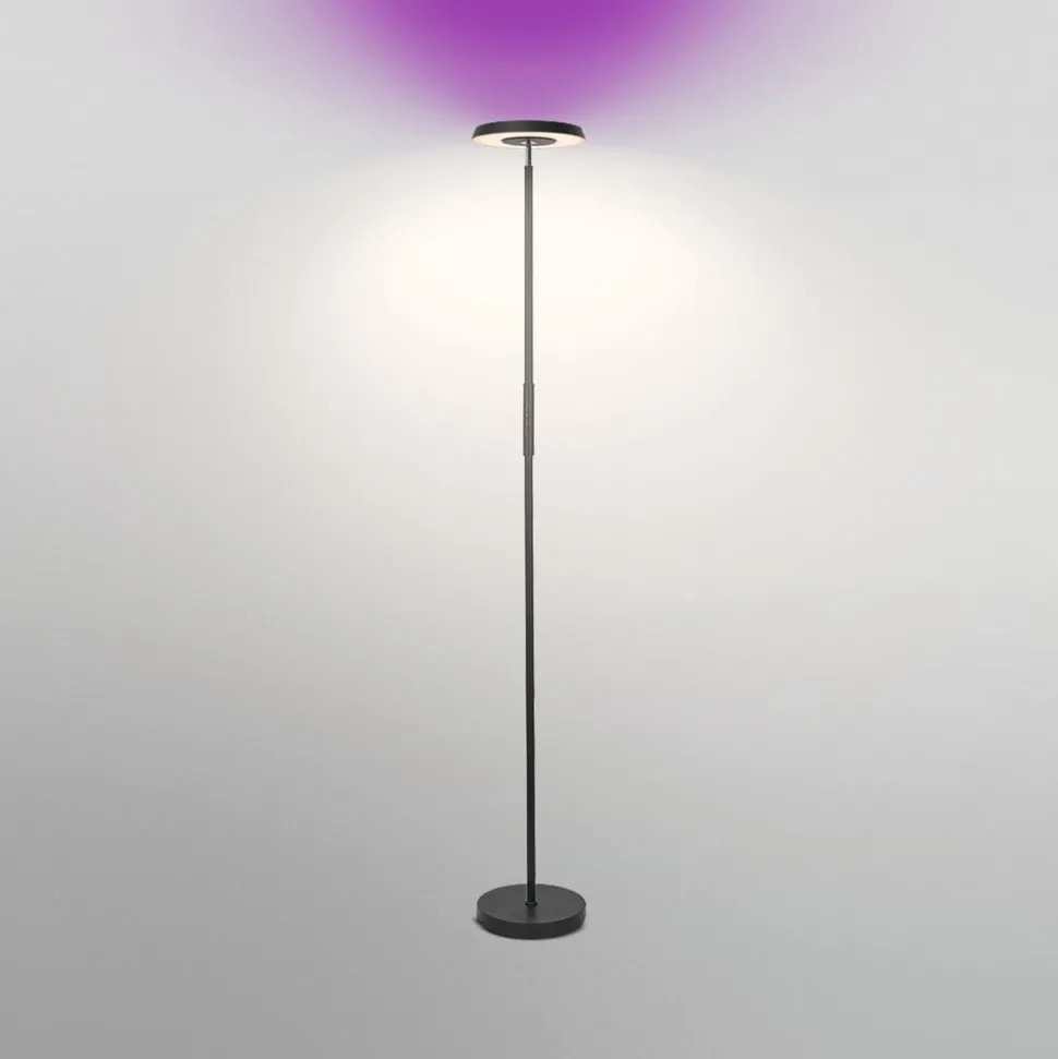LEDVANCE SMART+ WiFi LED-gulvlampe up/down RGBW