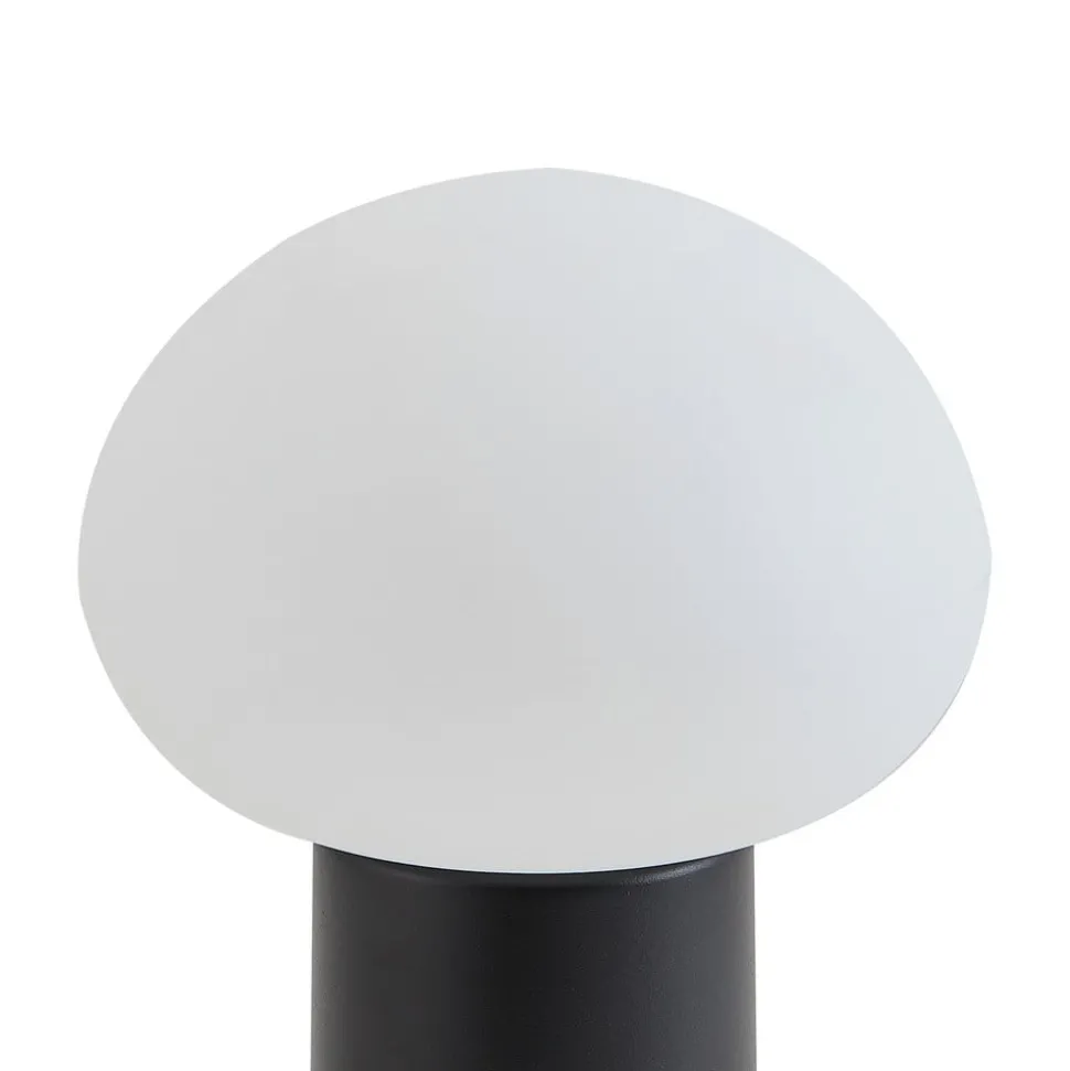 Lindby LED genopladelig bordlampe Zelie, sort, aluminium, IP44