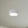 Loftlampe Cleo, Ø 20 cm, IP54, grå, metal, E27