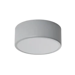 Loftlampe Cleo, Ø 20 cm, IP54, grå, metal, E27