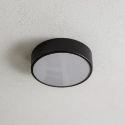Loftlampe Cleo 300, IP54, Ø 30 cm sort