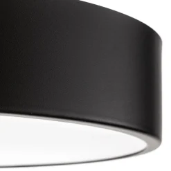 Loftlampe Cleo 400, IP54, Ø 40 cm sort