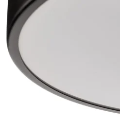 Loftlampe Cleo 400, IP54, Ø 40 cm sort