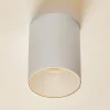Loftspot Eye Tone i cylinderform hvid