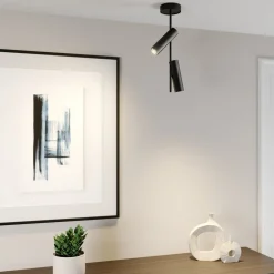 Loftspot Leda 2, 2 lyskilder, sort