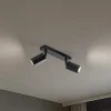 Loftspot Zoom, 2 lyskilder, sort