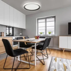 LOLA Smart Disc LED-loftlampe, sort/hvid, RGBW