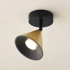 Lucande Kartio loftlampe 1 lysk., drejelig messing