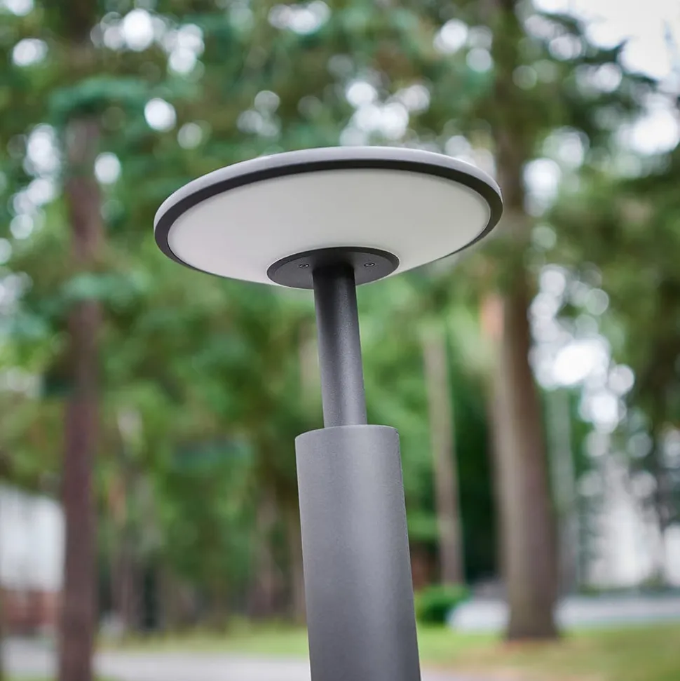 Lucande LED-gadelampe Fenia, 100 cm, antracit, IP65