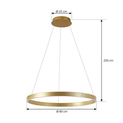 Lucande LED-hængelampe Yonam, Ø 80 cm, 1 lyskilde, guld, CCT