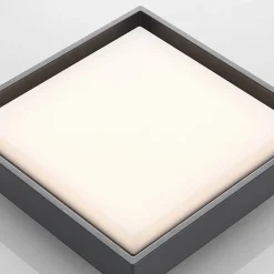 Lucande LED udendørs loftlampe Birta, mørkegrå, 27 cm, IP54