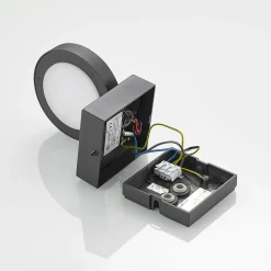 Lucande udendørs LED-væglampe Belna, metal, sensor, IP54