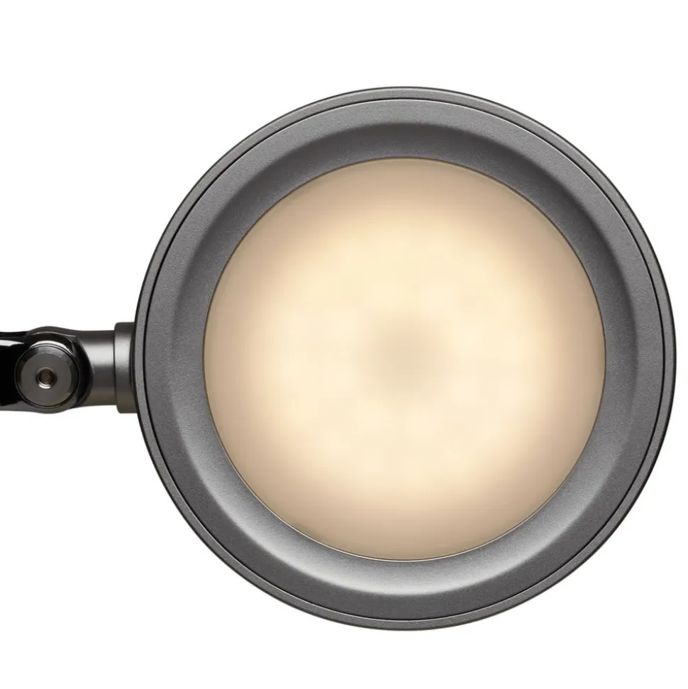 MAULgrace LED-bordlampe, sølvfarvet, 37 cm, dæmpbar, CCT