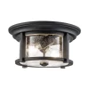 Merrill udendørs loftslampe i sort