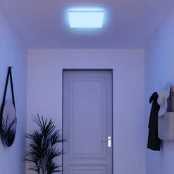 Müller Licht farvet LED-panel Loris, 45x45cm