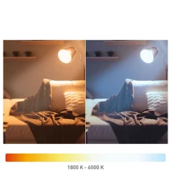 Müller Licht tint LED-pære Retro Gold E27 5,5 W