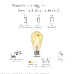 Müller Licht tint LED-pære Retro Gold E27 5,5 W